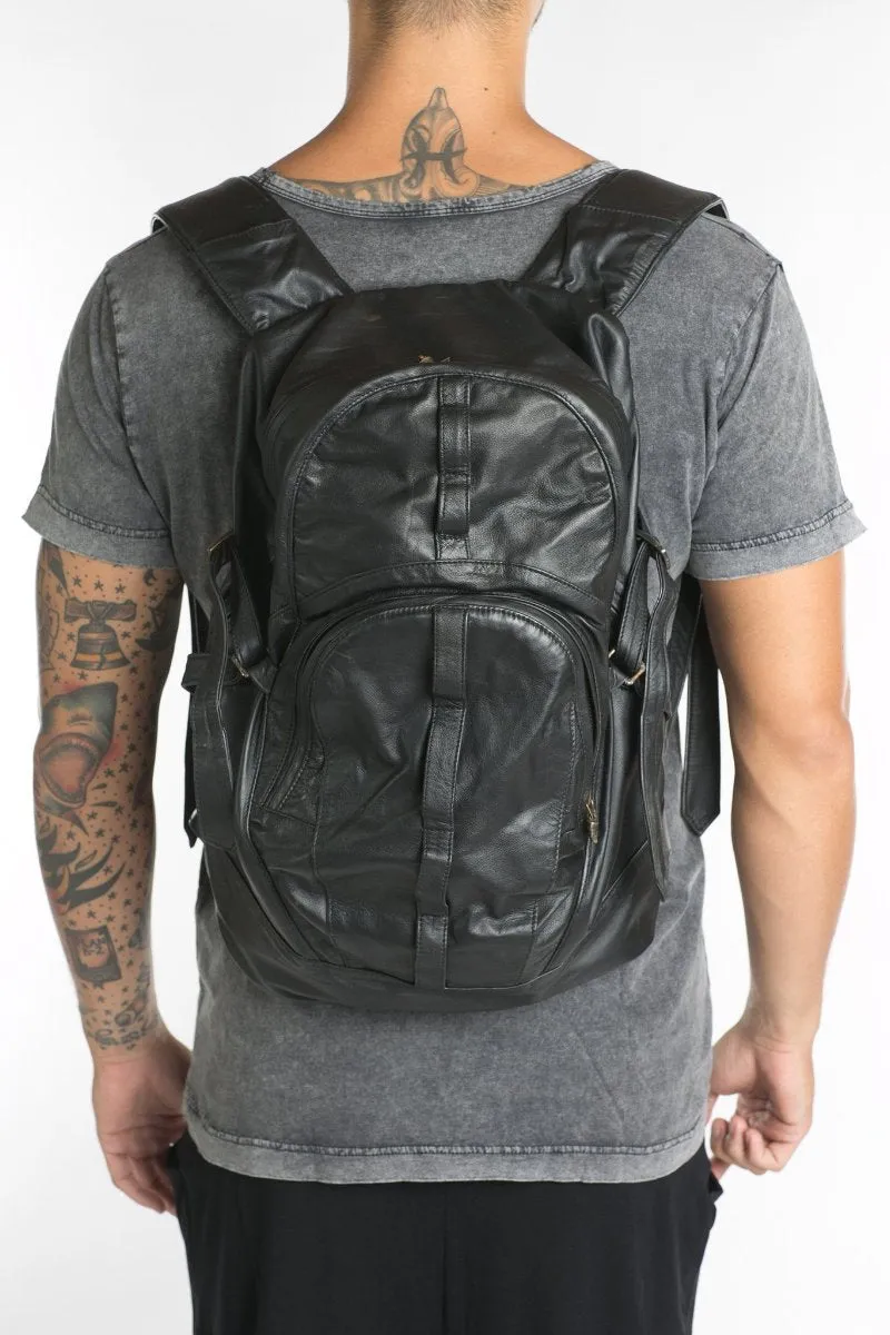 dingo back pack